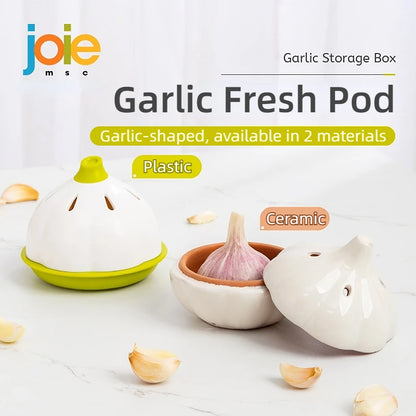 FreshJar: Ventilated Garlic & Spice Storage Box